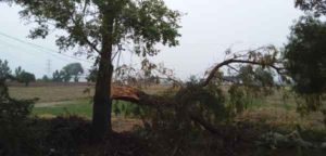 pre-monsoon-rain sachkahoon