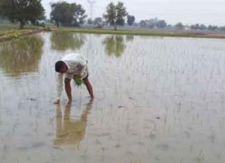 pre-monsoon-rain sachkahoon