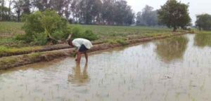 pre-monsoon-rain Sachkahoon