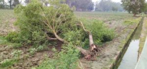 pre-monsoon-rain Sachkahoon