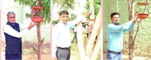 sach-kahoon