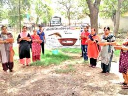 …अब हर छत पर मिलेगा पक्षियों को दाना-पानी sach-kahoon