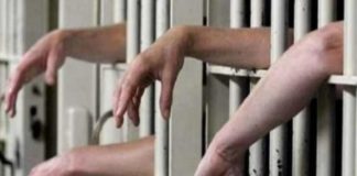 35 prisoners