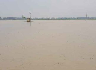 Assandh drain overflow sachkahoon