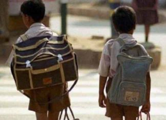 सरकारी स्कूलों में एडमिशन : चरखी दादरी प्रदेश में अव्वल Charkhi Dadri tops in the state sachkahoon