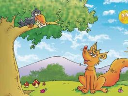 चालाक लोमड़ी की चालाक हरकतें Cunning Fox