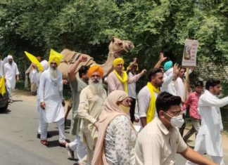 Farmers Demonstration