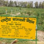 Gardening, haryana