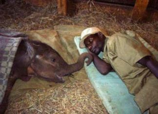 Haathi Mere Saathi sachkahoon