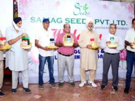 Samag-Seeds