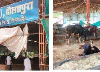 Shri Krishna Gau Seva Samiti