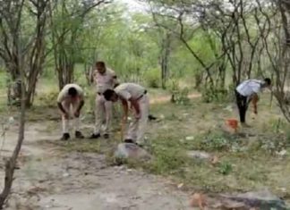 Two crooks arrested sachkahoon