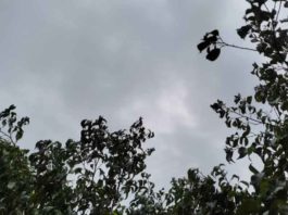 हिमाचल में मौसम दो दिन खराब रहने का अनुमान Weather in Sirsa