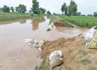 crop waterlogging