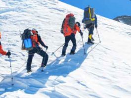 promising climbers sachkahoon