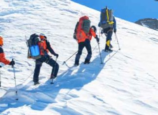 promising climbers sachkahoon