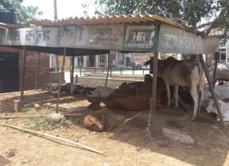 4 दशक बाद भी नहीं मिला रोड़ी को बस स्टैंड Negligence