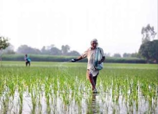 shortage-of-urea