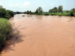 Ghaggar River