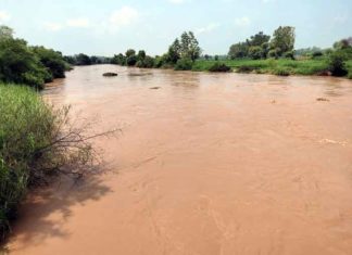 Ghaggar River