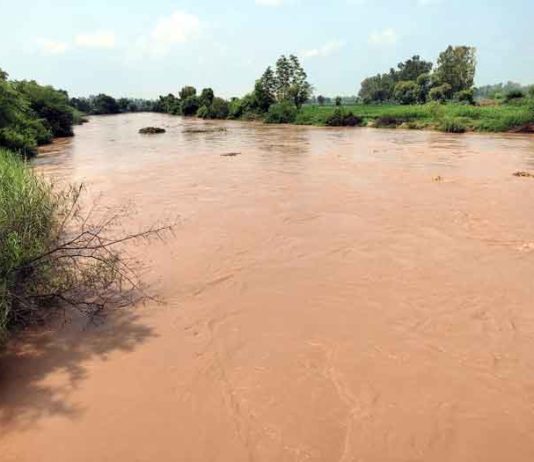 Ghaggar River