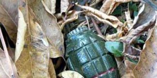 hand-grenade