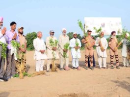 पौधा-रोपण व अन्य मानवता भलाई कार्यों के साथ मनाया पावन ‘अवतार दिवस’ Happy Incarnation Day