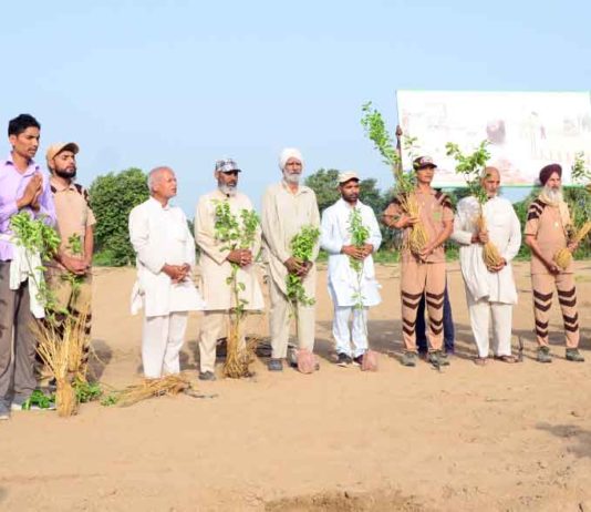 Happy Incarnation Day