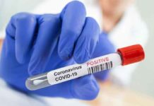 Coronavirus Comeback Haryana