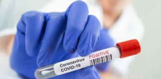 Coronavirus Comeback Haryana