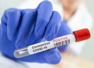 Coronavirus Comeback Haryana