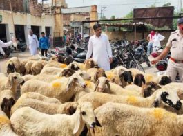 BJP district president Aditya Chautala sachkahoon