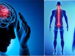 Brain tumor and spinal cord injuries sachkahoon
