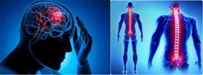 Brain tumor and spinal cord injuries sachkahoon