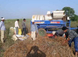Crisis on agriculture sachkahoon