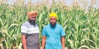 Farmer Harmandeep Singh