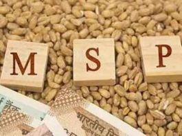 MSP : न्यूनतम समर्थन मूल्य की परिभाषा MSP