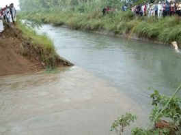 Sidhmukh Bhakra canal sachkahoon