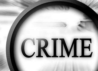 fake-firm sachkahoon