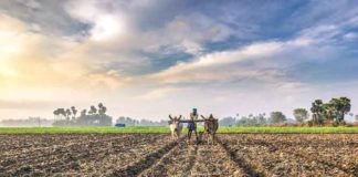 Farmers