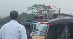 monkey made an auto driver run sachkahoon