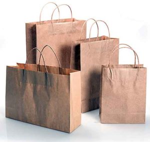 paper bag business