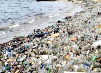 प्लास्टिक कचरा उन्मूलन में राष्ट्रीय स्वच्छ गंगा मिशन के साथ सहयोग किया जाए:नीति आयोग