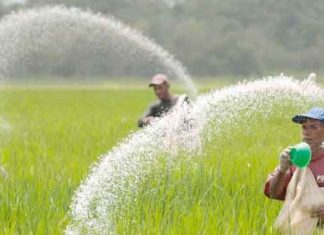 DAP fertilizer sachkahoon