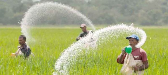 DAP fertilizer sachkahoon