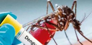 Dengue in Delhi