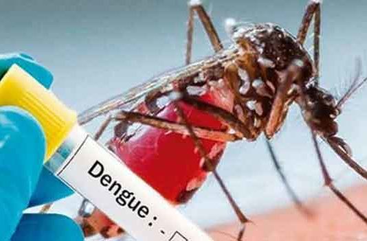 Dengue in Delhi