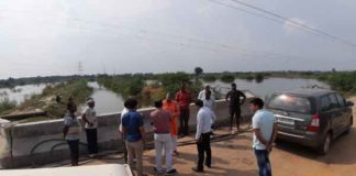 Heavy rains and diseases in crops sachkahoon