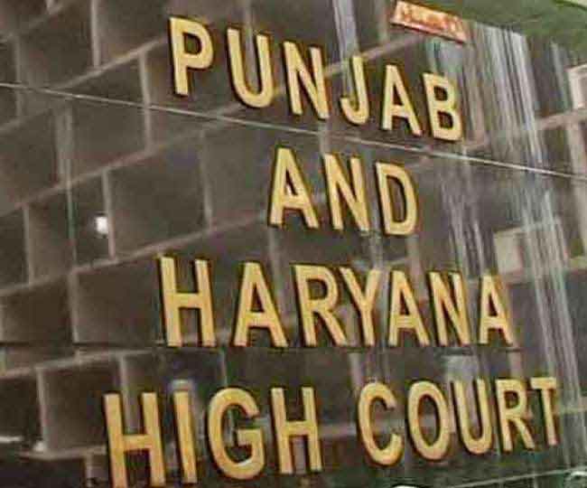 punjab and haryana high court sachkahoon