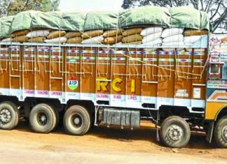 Illegal Paddy